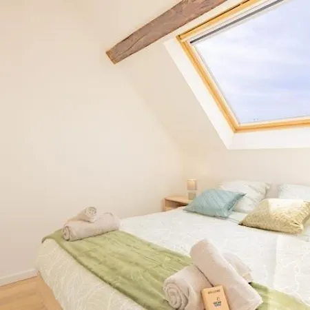 Le Nid Troyen I Gare I New & Cosy I Hyper Centre I Rent Immo Appartement Troyes