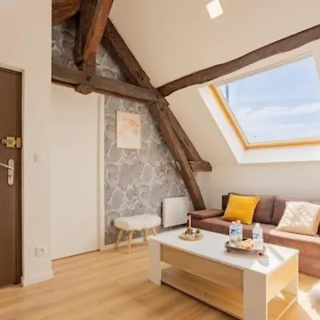 Le Nid Troyen I Gare I New & Cosy I Hyper Centre I Rent Immo * Troyes